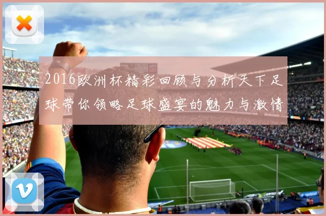 2016欧洲杯精彩回顾与分析天下足球带你领略足球盛宴的魅力与激情
